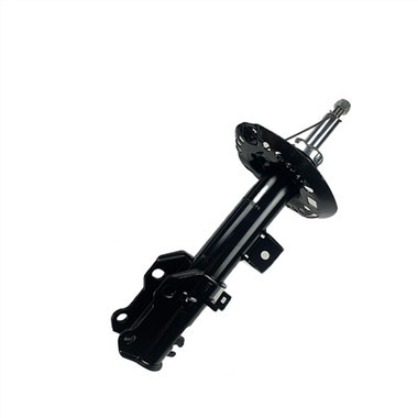 Ammortizzatore dell'automobile