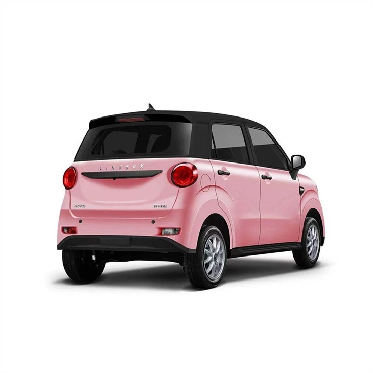 SEM01 PINK BACK