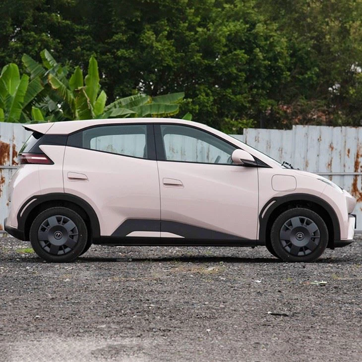 2024 BYD Seagull Mini Electric Car Active version