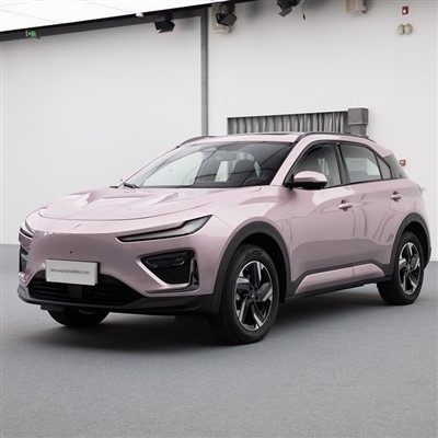 SUV compatto Neta X del 2024