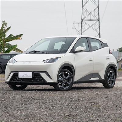 BYD Gabbiano Mini Ev
