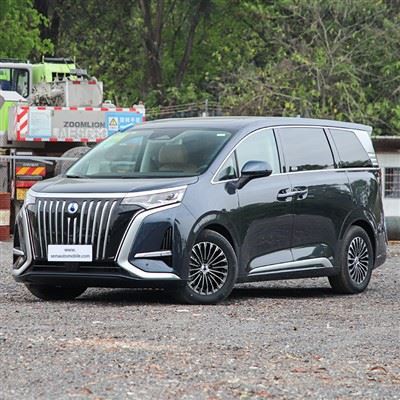 Denza D9 4WD EV monovolume